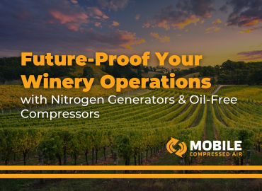 Future-Proof Your Winery Operations With Onsite Nitrogen Generators & Oil-Free Compressors 